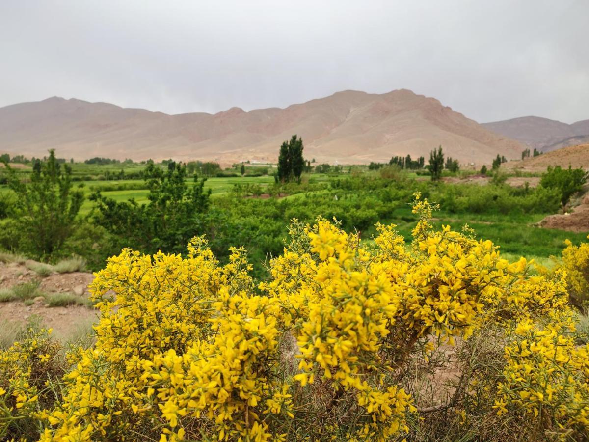 Auberge Restaurant Afoud Agoudal المظهر الخارجي الصورة